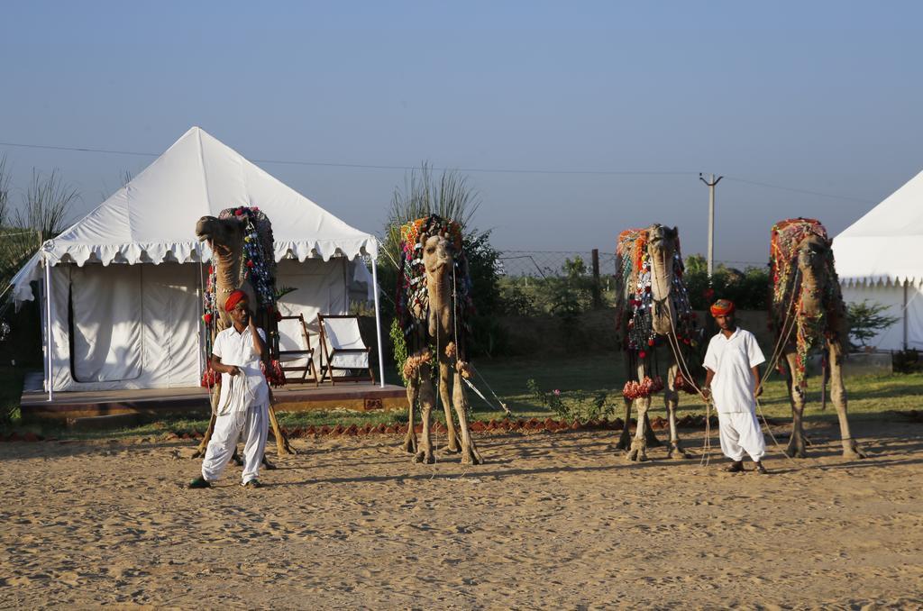 Pushkar Adventure Desert Camp Экстерьер фото